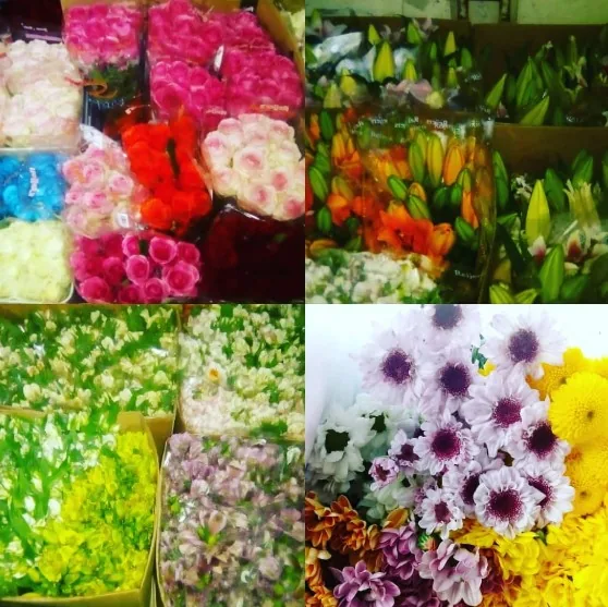 Mix de flores de corte