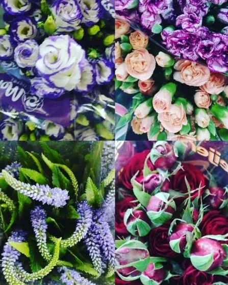 Flores especiais