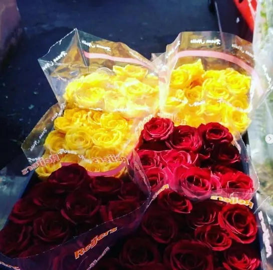 Flores e variedades da Estação das Flores