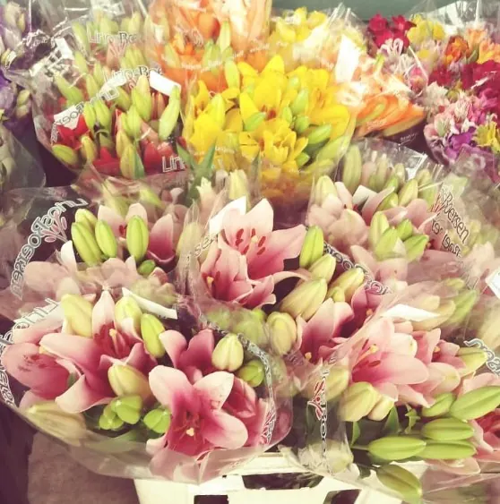 Flores e variedades da Estação das Flores