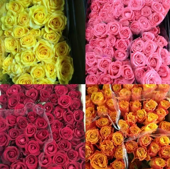 Flores e variedades da Estação das Flores